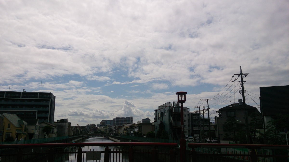 五月の呑川（東京都大田区蒲田:フリー写真素材）