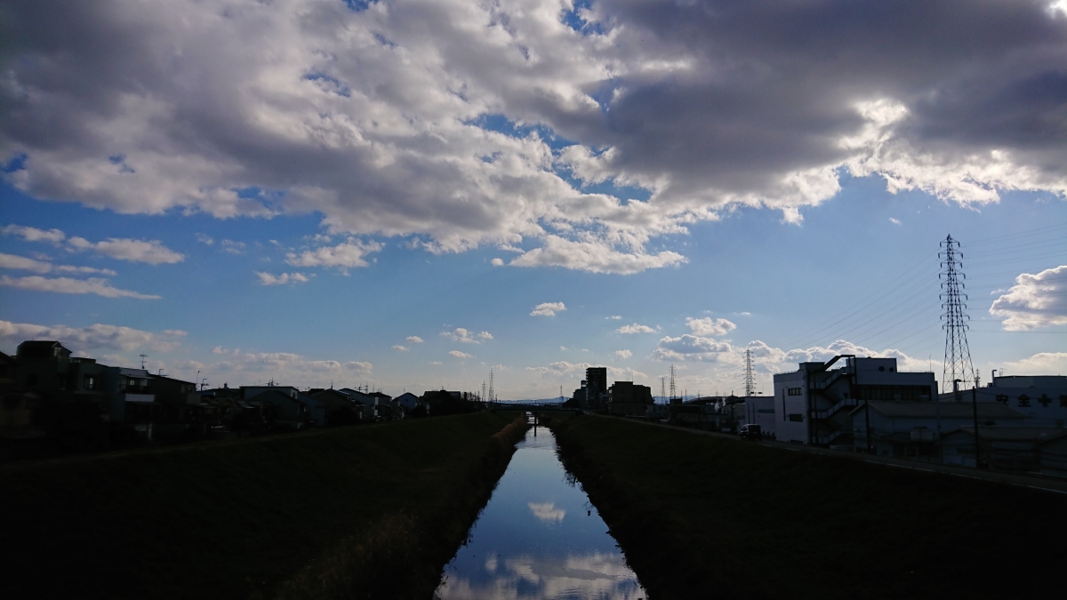 京都市のフリー写真素材:新高瀬川
