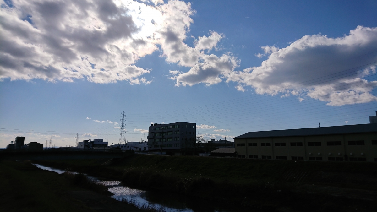 京都市のフリー写真素材:新高瀬川