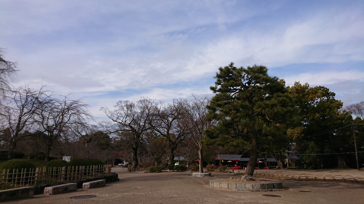 京都市のフリー写真素材:円山公園❶