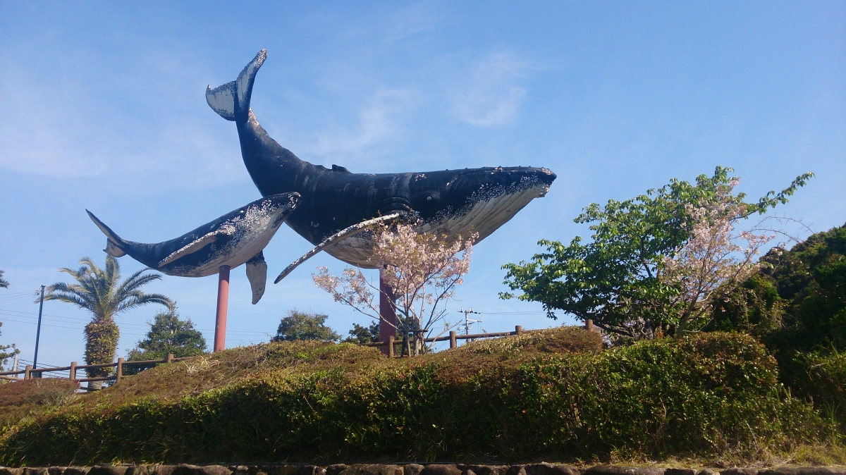 鯨のモニュメントフリー写真素材(太地町):SO-04E