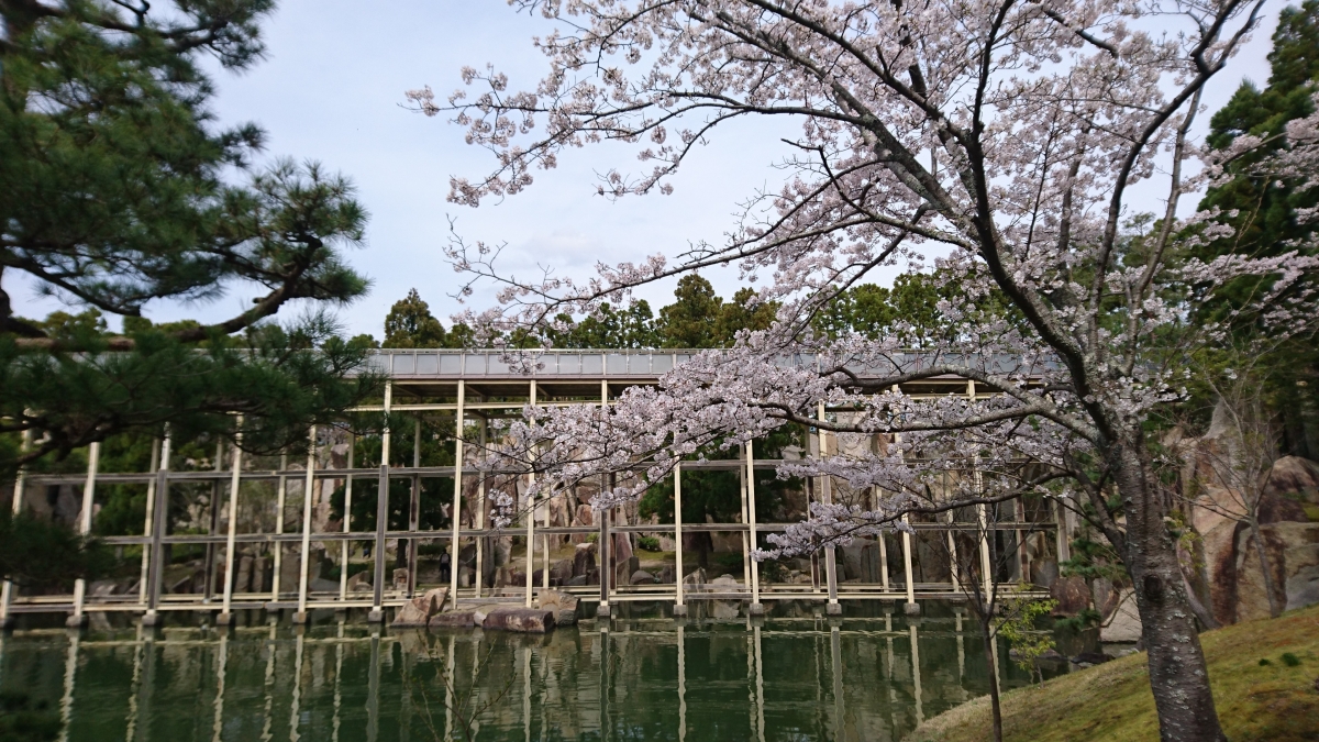 桜の時期の水景園:フリー写真素材(SO-02Hで撮影)